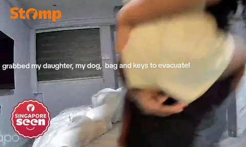 Serangoon mum, fireworks display, loud explosion