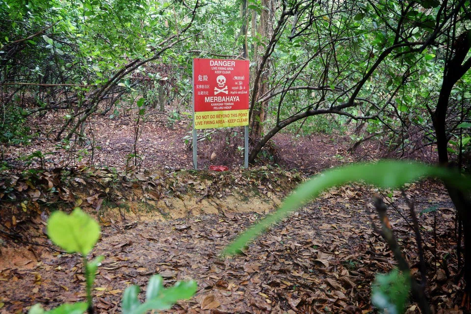 The rider had been cycling on June 15 in the Central Catchment Nature Reserve when he was hit.