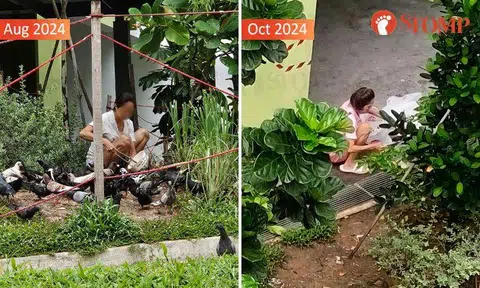 Woman still feeding birds in Yishun despite measures, leaving resident 'fearful'