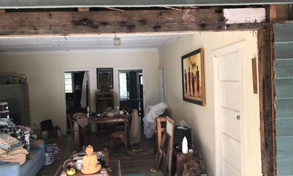 Can you spot where the two snakes are in this photo?