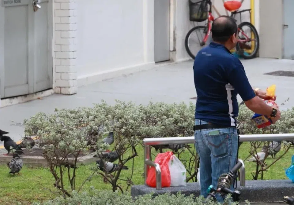 The man claimed that it was his friend who was feeding the pigeons.