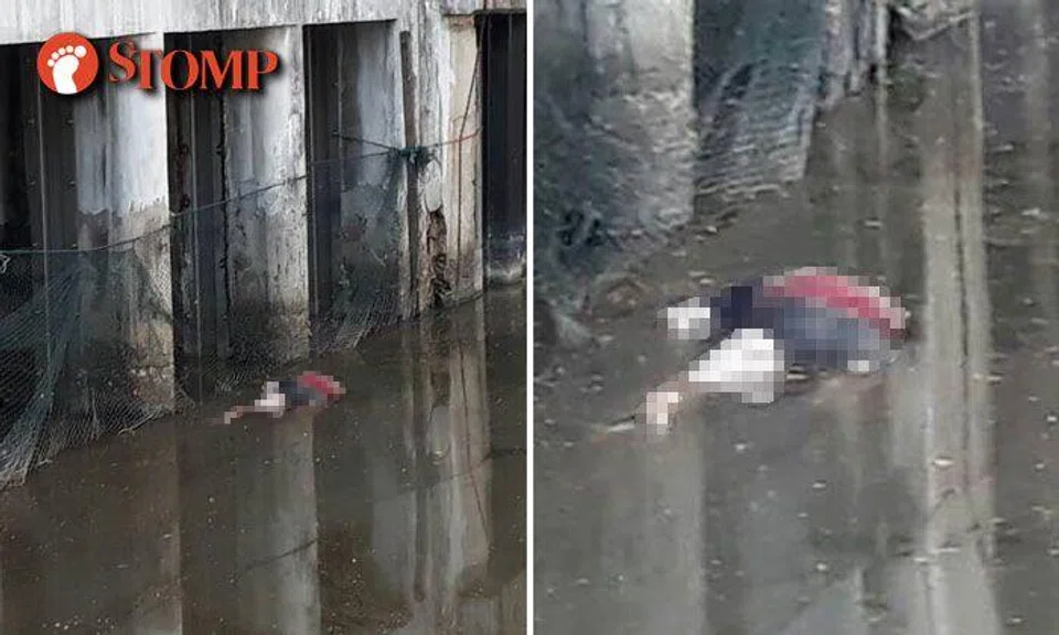 Body of 26-year-old man seen floating in Jurong Lake at Chinese Garden