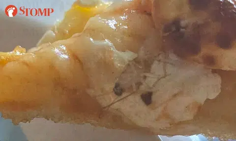Girl screams after spotting wriggling cockroach on Pizza Hut slice