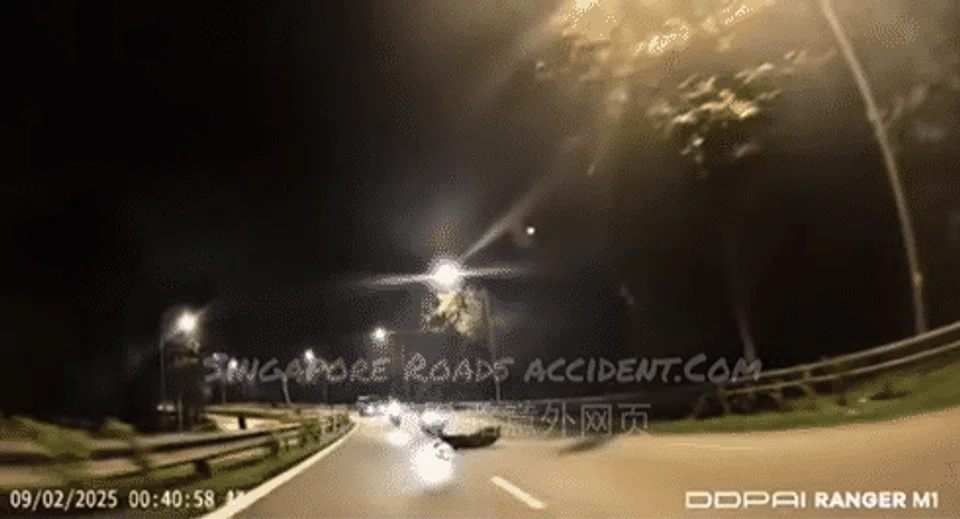 Hit by two motorcycles, a sambar deer had already died when a team that was dispatched by NParks arrived at the location on the BKE.