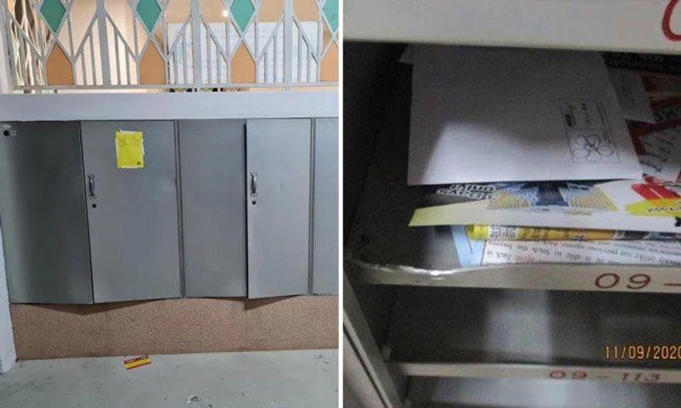 Five 18-year-old youths arrested for theft of parcels, vandalism of letterboxes in Choa Chu Kang