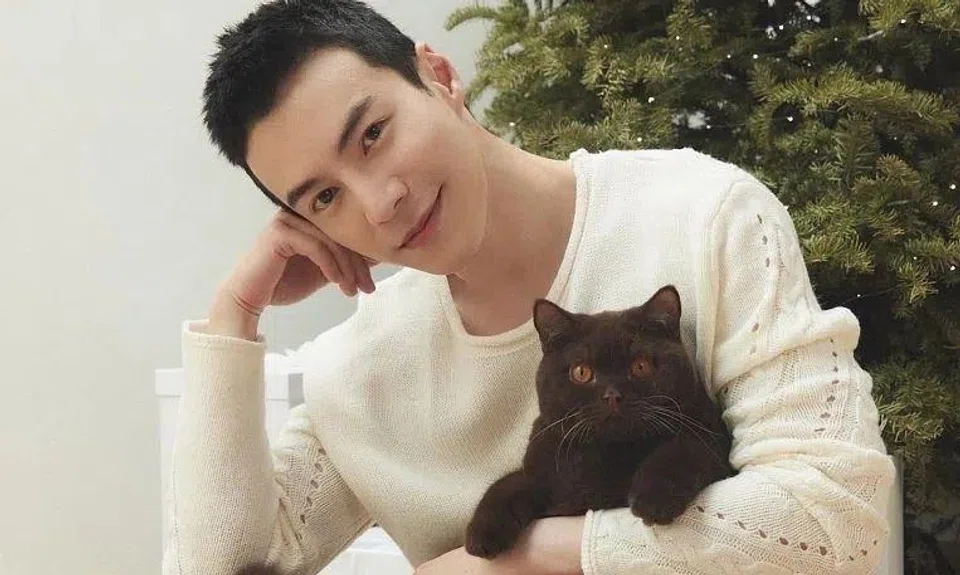 Malaysia-born Singaporean actor Lawrence Wong with Toto, a chocolate British shorthair.