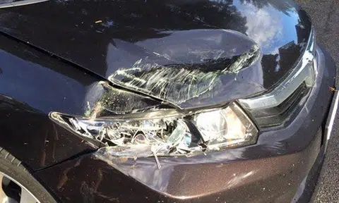 Hotel staff refuse to help even after Malaysian family's car get hit by tour bus