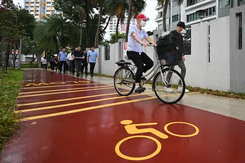 Cycling paths have been painted red.