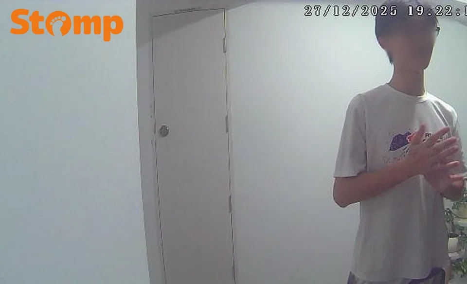 Teen boy selling ice-cream