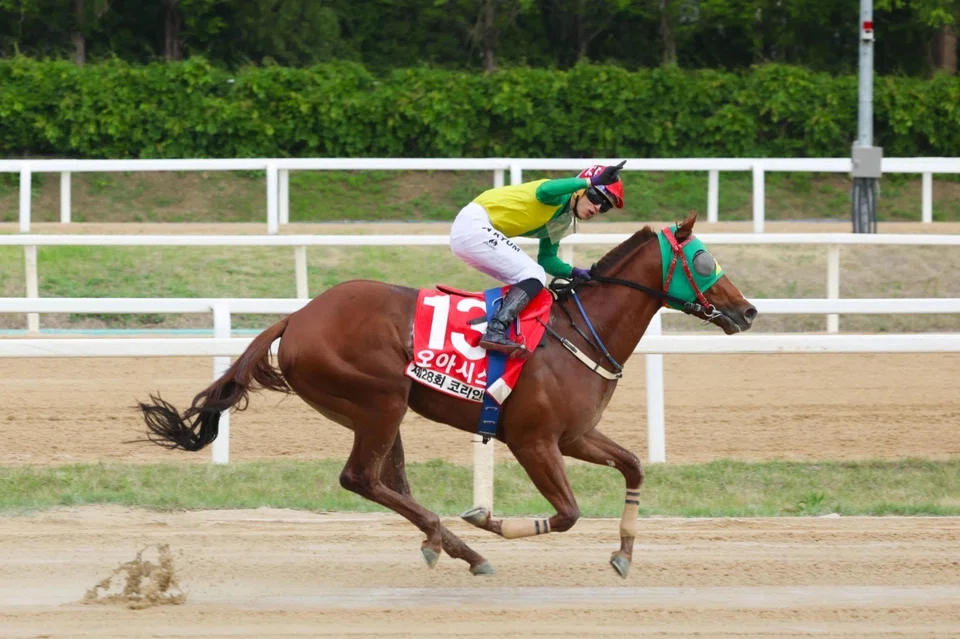 Jockey Jin Kyum saluting on Oasis Blue after the 3YO colt landed the Group 1 Korean Derby (1,800m) in Seoul on May 11.