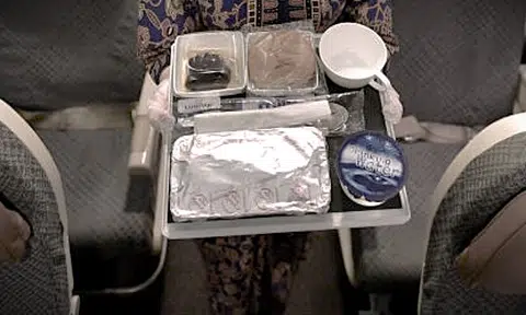 Man allegedly unzips pants, records exposing his genitals to flight attendant serving him meal on plane