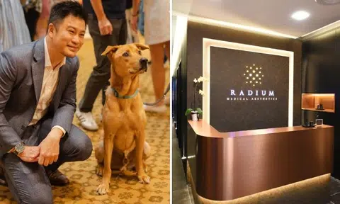 After quitting full-time job to help save stray dogs, aesthetics doctor opens clinics: 'I'm not rich'
