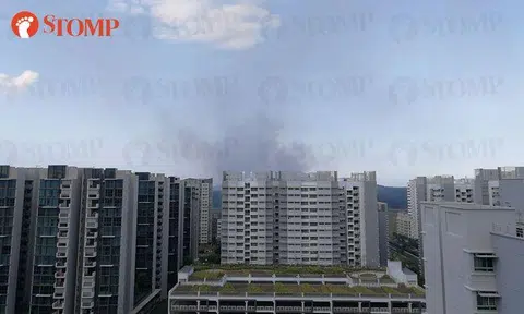 Burning smell in north-east Singapore likely related to fire at landfill in Pasir Gudang: NEA