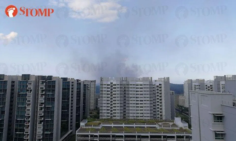 Burning smell in north-east Singapore likely related to fire at landfill in Pasir Gudang: NEA