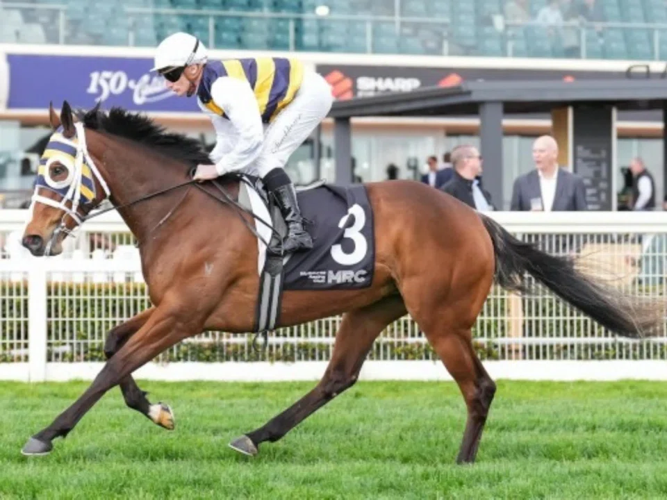 Jockey Blake Shinn will get a leg-up on the Phillip Stokes-trained Femminile in the Group 1 Queensland Derby (2,400m) at Eagle Farm on May 31.

