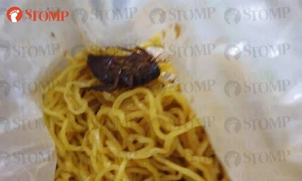 Fei Siong 'working closely' with SFA and police after customer allegedly finds cockroach in noodles