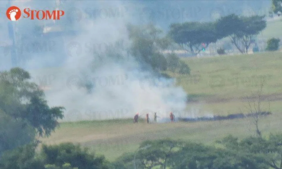 Vegetation fire breaks out in open field at Tampines