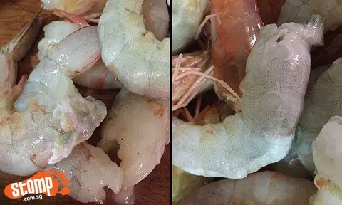 What's this strange white substance found in prawns bought from Toa Payoh market?