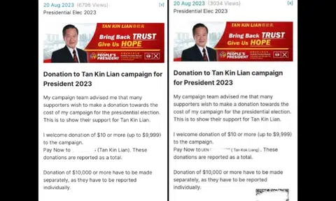 One of these Tan Kin Lian donation pages is a scam: Do you know which?