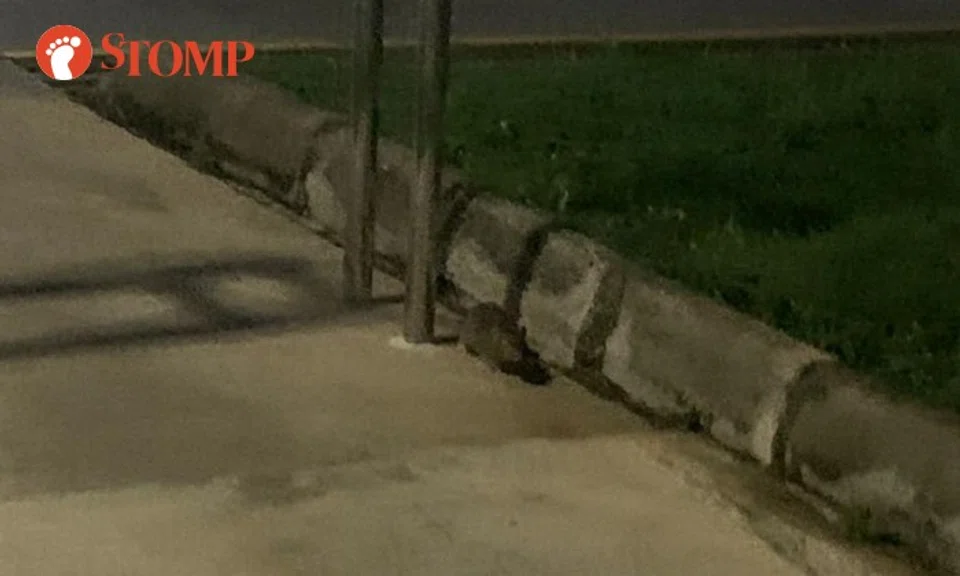 Stomper Francis said he was jogging when he spotted a rat near a central refuse chute.