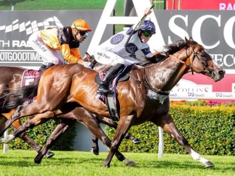 Overpass (Joshua Parr) recording his second Group 1 Winterbottom Stakes at Ascot on Nov 30, 2024. The top Sydney sprinter is eyeing a third The Quokka win for a five-from-five in Perth.
