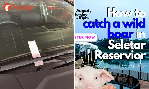 Did you 'kena saman' or saw 'how to catch wild boar in Seletar Reservoir' event? They're pranks