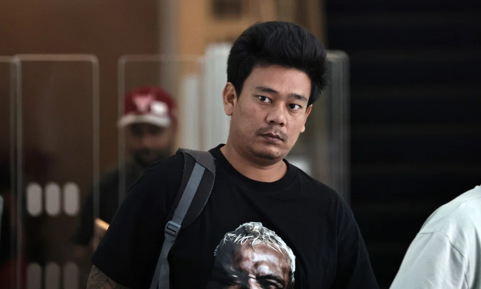 Man charged over fake Pandan Reservoir crocodile image