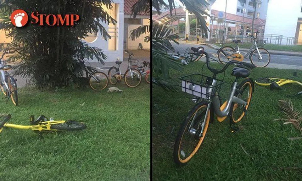 Another 'graveyard' of bicycles found at Telok Blangah Drive