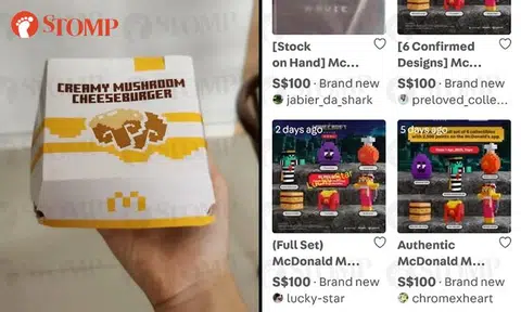 McDonald's x Minecraft toys being resold for $100: Unboxing why S'poreans love collectibles