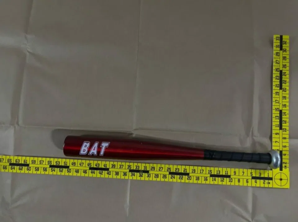 The 41-year-old man allegedly attacked a police officer with a baseball bat and mug.