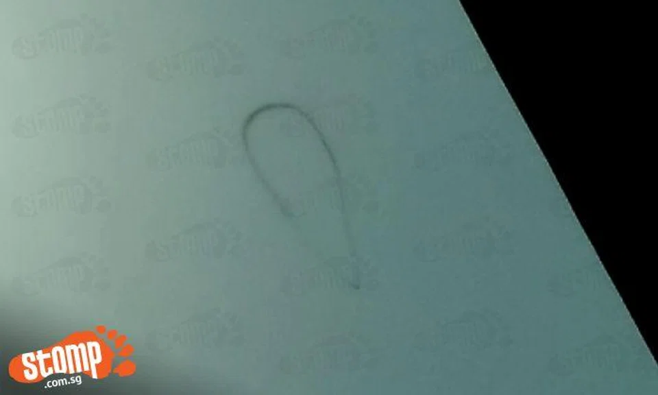 What's this unusual ring of smoke seen in the sky at Palawan Beach?