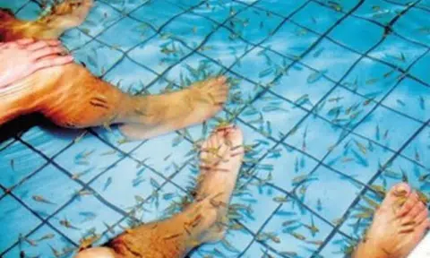 Man in China pees in fish spa pool and kills thousands of fish, owner demands compensation