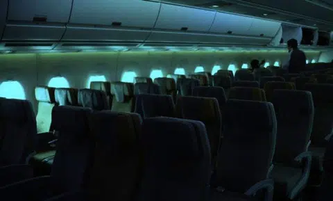 Chinese national arrested after plane passenger sees him taking her husband's bag from overhead compartment