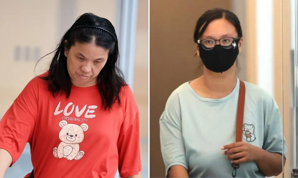 Repeat offender Lim Sok Lay and daughter jailed for assault