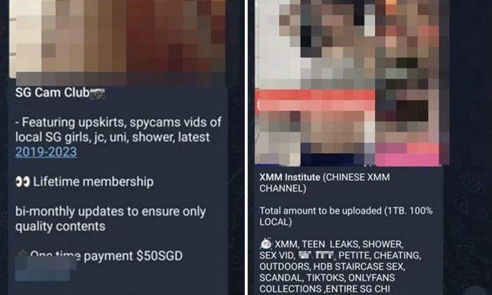 SG Nasi Lemak 2.0? Telegram channels are offering sexually explicit videos and photos for a fee