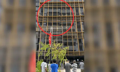 Over a dozen monkeys were spotted climbing the facade of an office building on Feb 4.