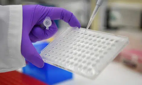 Singapore steps up infectious disease surveillance