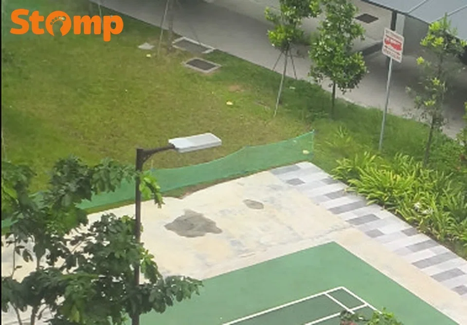 Pickleball noise complaint in Tengah