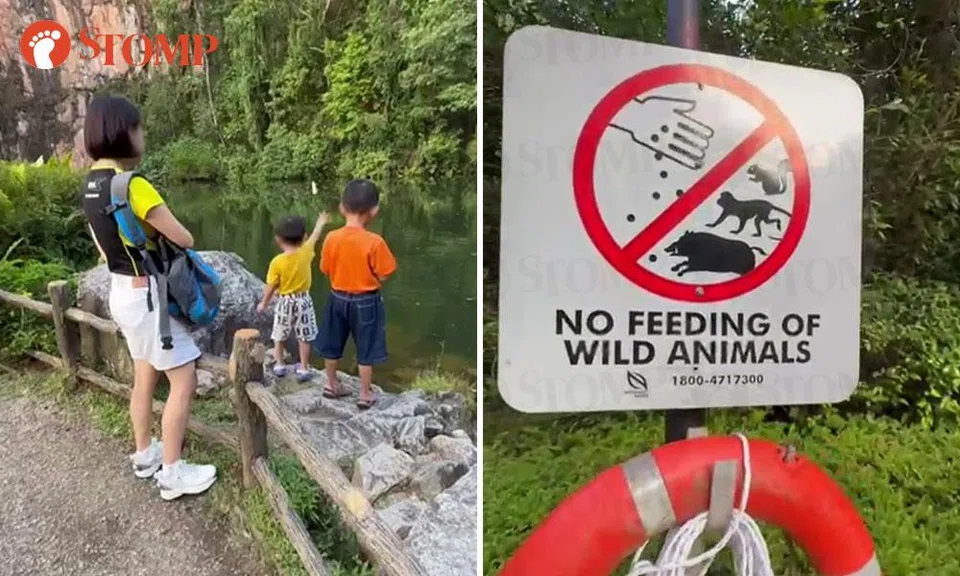 boys climb over fence at bukit batok town park to feed fish