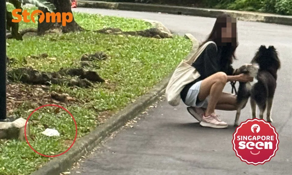 ‘Gross’: Woman allegedly litters used tissues after cleaning up dog