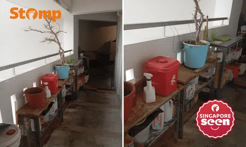 neighbour cluttered hdb corridor for 8 years