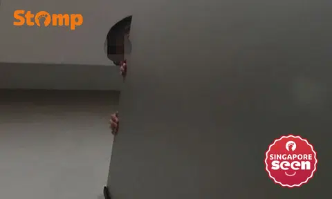 Boy peeks over toilet cubicle at Oasis Terraces