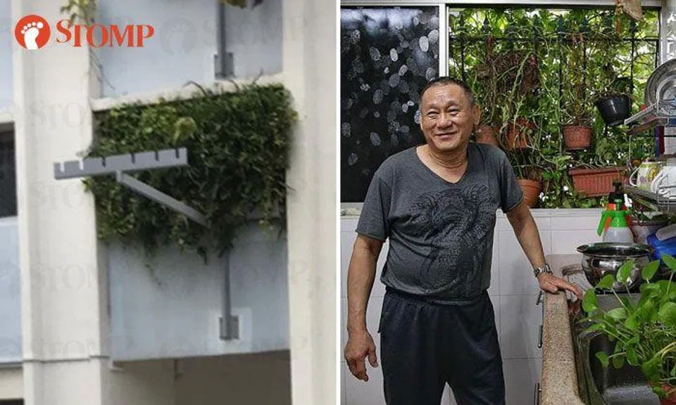 Mr Victor Lee and the dense foliage growing out of his living room window. PHOTOS: STOMP, KEVIN LIM/TNP