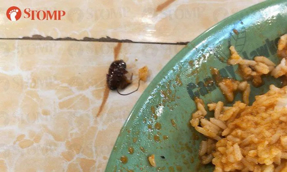 Man finds bug in nasi biryani from Clementi coffee shop, says he had diarrhoea for a few days