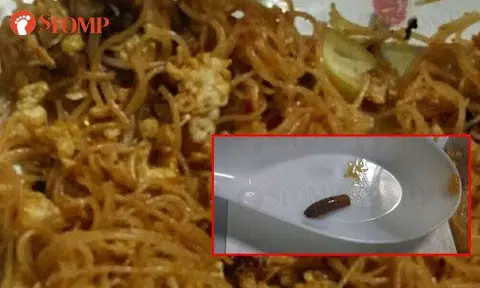 Woman finds worm in bee hoon meal from Joo Chiat Complex eatery