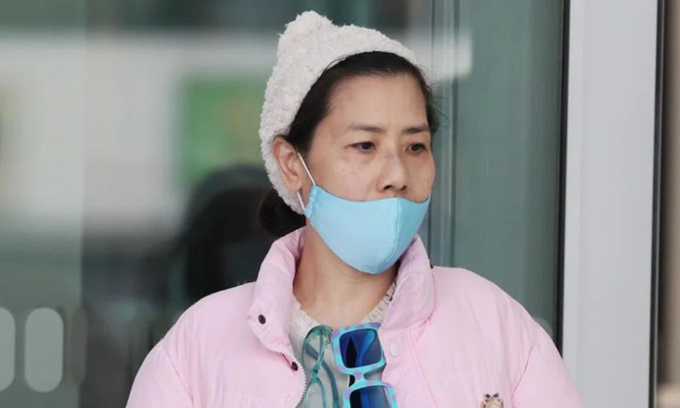Tan Lee Hoon is facing eight counts of voluntarily causing hurt to the Filipino nationals. Photos: The Straits Times