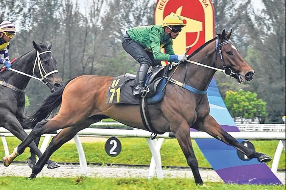 Kitsune (Nazir Aiman) winning a barrier trial on Jan 28. He showed good toe in his trackwork on May 27.