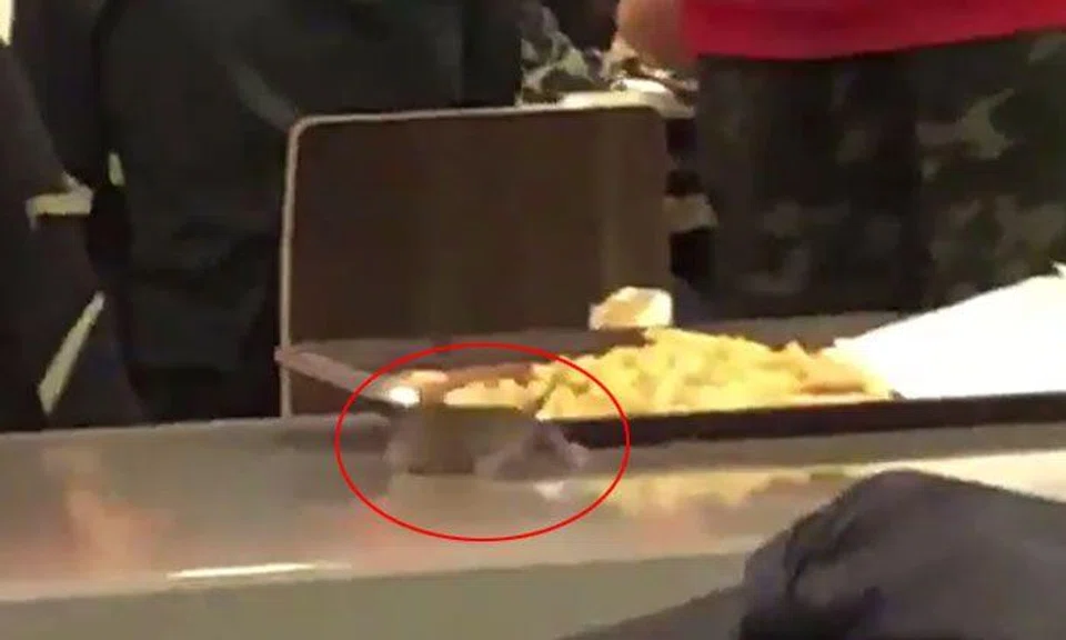 Rat seen scurrying on table at McDonald's outlet in AMK has been removed
