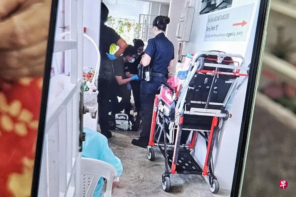 The stepfather and stepson got into an argument that escalated into a fight, prompting the police to respond.