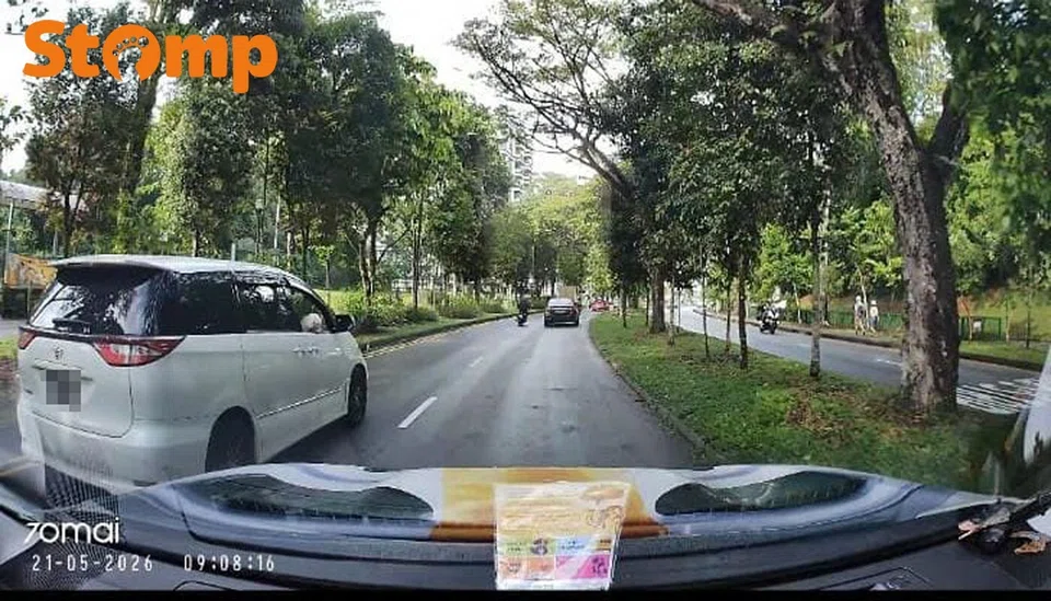 Dog in front seat at Hillview Avenue